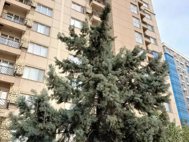 4-комн. квартира, 125 м², 8/8 эт., И.Сомонӣ, Душанбе (И.Сомонӣ)