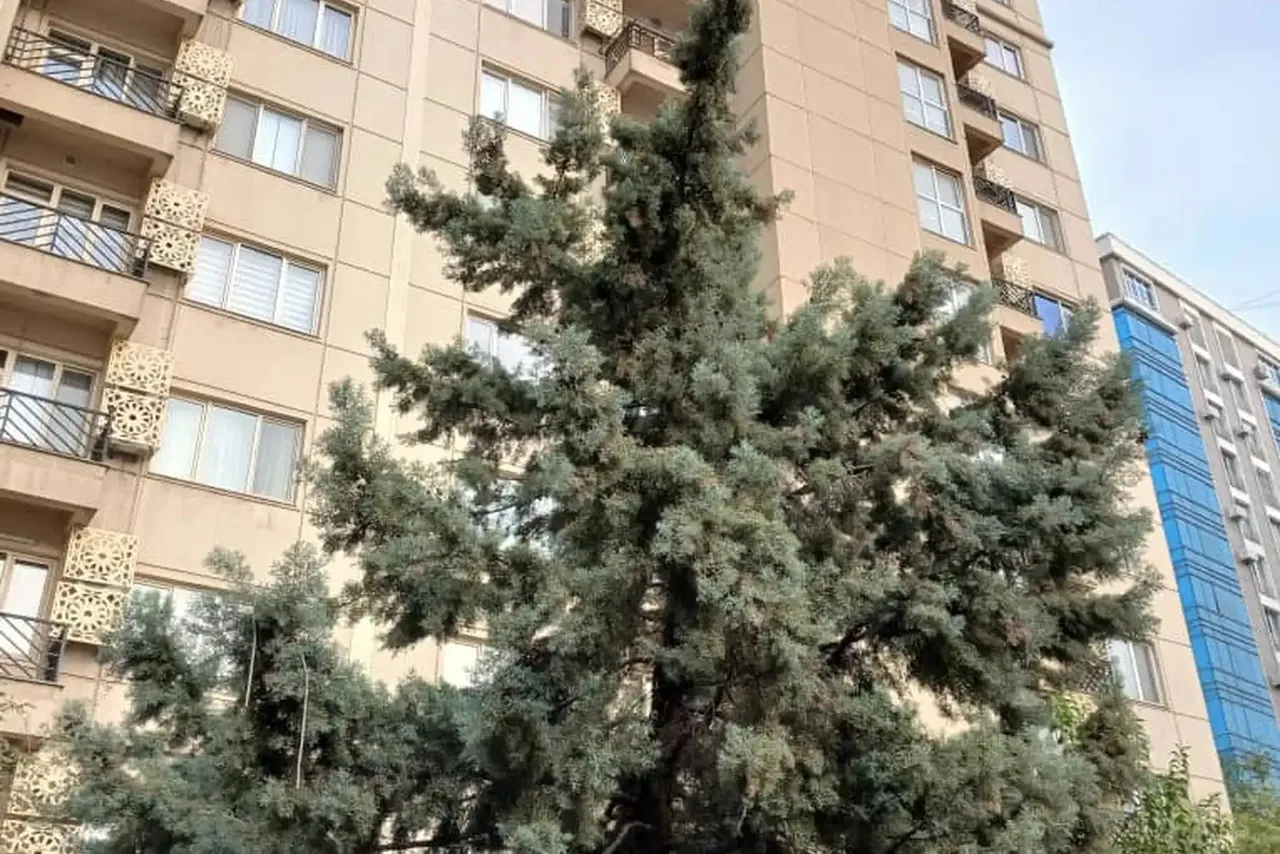 4-комн. квартира, 125 м², 8/8 эт., И.Сомонӣ, Душанбе (И.Сомонӣ)